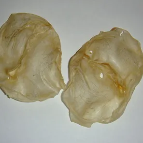 Клей рыбий сомовий (в пузырях)