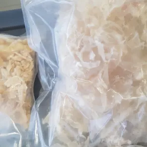 Клей осетровый в пузырях