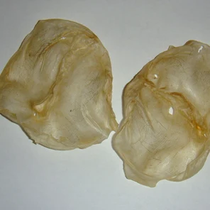 Клей рыбий сомовий (в пузырях)